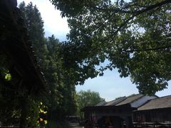 -乌镇东栅景区