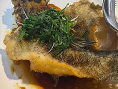 -熠盛粤味·顺德桑拿鸡(永康路店)
