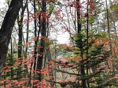 -吉林市朱雀山国家森林公园
