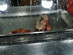 -清真·金宏兴鸭子店(明瓦廊店)