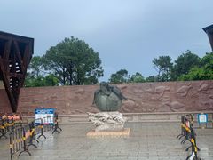 -广东惠东海龟国家级自然保护区