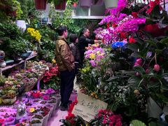-三旗百汇商品城
