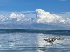 -青海湖国家重点风景名胜区
