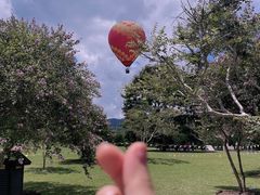 -中国科学院西双版纳热带植物园