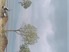 -湖景渔湾