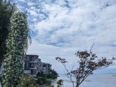 -洱海月湿地公园