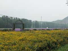 -百里山水画廊乌龙峡谷