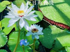 -国家植物园南园