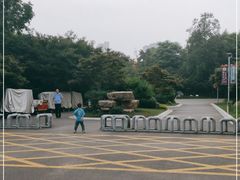 -青枫公园