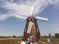 -北纬44度·金珠花海休闲农业旅游景区