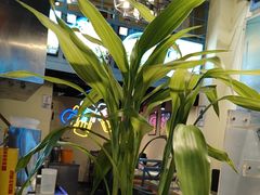 -滋味烤鱼(马北店)