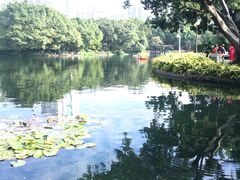 -晓港公园