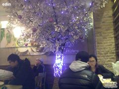 树-多乐之日(五道口店)