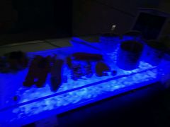 -大华锦绣假日酒店·锦味餐厅