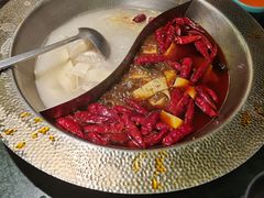 -麻田会 ·鲜活现烹·牛蛙火锅(珠江新城维家思广场店)