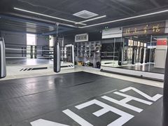 -臻元搏击格斗泰拳拳馆(港隆店)