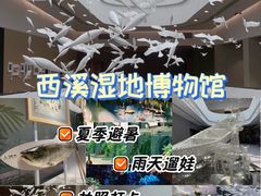 -中国湿地博物馆