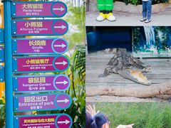 -灵玲国际马戏城