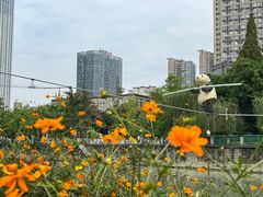 -成都市活水公园