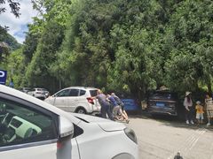 -西岭雪山大飞水景区