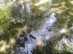 景点-北京动物园