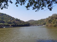 -李小龙乐园(顺德均安店)