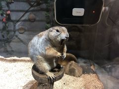 -合肥海洋世界