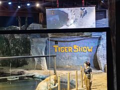 -清迈夜间动物园