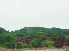-四明山国家森林公园