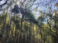 -南山风景名胜区