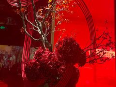 -星·South Beauty·俏江南(国贸店)