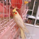 夏日里带着宝宝一起来跟小动物亲密接触吧[礼花]