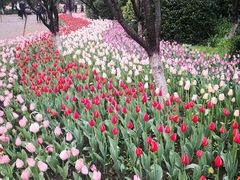 -古韵餐厅(湖畔大学店)