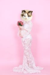 -十月摄影•专注孕婴童写真(汉口香港路店)