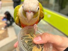 -北京野生动物园