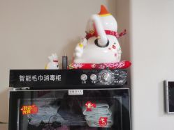 -苗塑堂减肥艾灸