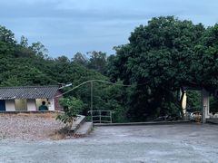 -满記土窑烧鷄波浪山莊