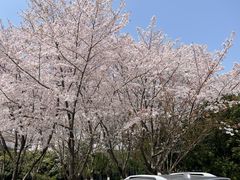 -苏州独墅湖世尊酒店