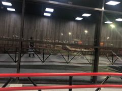 -谢列梅捷沃国际机场