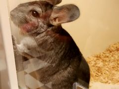 -龙猫仔乐园(惠福东路店)