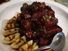 双子秘制红烧肉-双子楼大酒店(城开国际写字楼店)