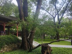-碑林公园