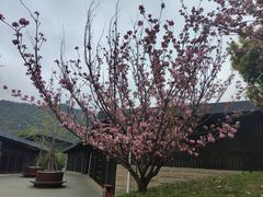 -贵阳市花溪国家城市湿地公园