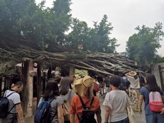 -老宅原住民沙茶面精品小吃(龙头路店)