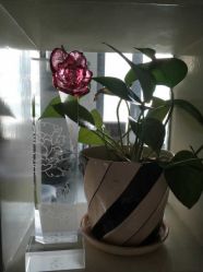 -瑜舍瑜伽连锁教室