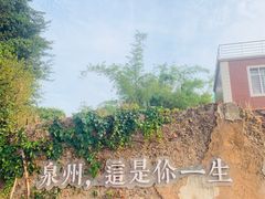 -一杯潮茶(西街店)