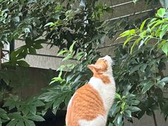 -南京工程学院(江宁校区)