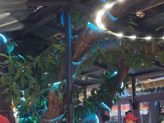 -海岛八号龙虾烧烤田鸡(蓝天路总店)