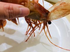 -海鲨湾海鲜会馆(百家湖1912店)