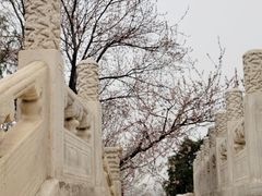 -北海公园